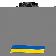 340/85 R38 GTK RS200 133/130A8/B Сільгосп шина Киев