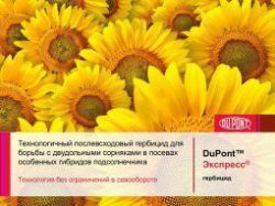 Гербіцид Експресс 75 0.5кг ціна за кг. Кировоград - изображение 1