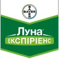 Луна Экспириенс 400 SC 1л Кировоград - изображение 1