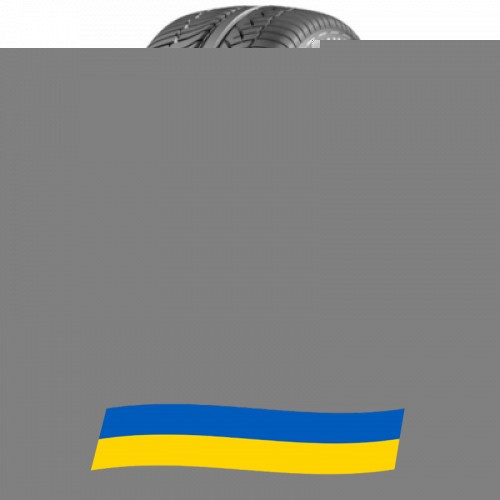 255/50 R19 Michelin 4X4 Diamaris 103V Позашляхова шина Київ - изображение 1