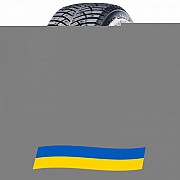 235/55 R17 Nexen WinGuard WinSpike 3 103T Легкова шина Київ
