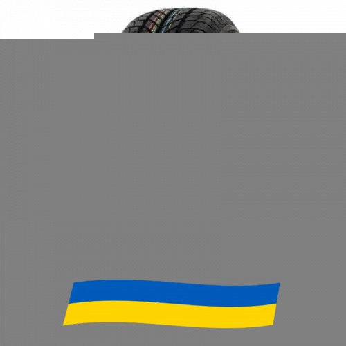 225/65 R17 Paxaro INVERNO SUV 106H Позашляхова шина Киев - изображение 1