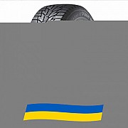 245/40 R18 Hankook Winter i*Pike RS W419 97T Легкова шина Київ