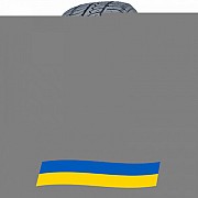 225/50 R17 Farroad FRD79 98V Легкова шина Киев