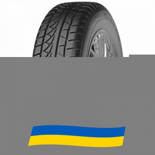 245/45 R19 Petlas Snow Master W651 102V Легкова шина Київ - изображение 1