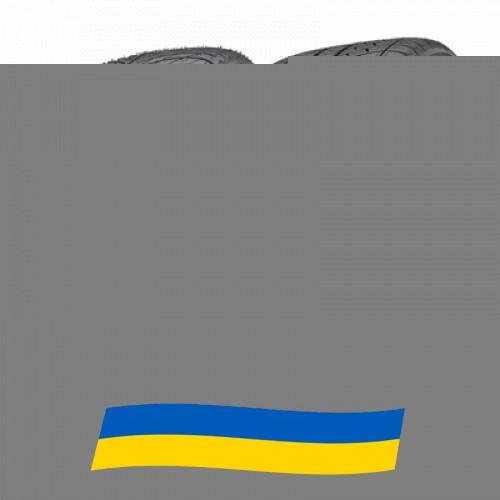 245/50 R19 Michelin Pilot Alpin 5 SUV 105V Внедорожная шина Київ - изображение 1