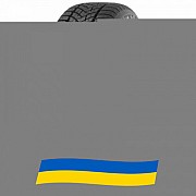 245/40 R18 Dunlop Winter Sport 5 97V Легкова шина Київ