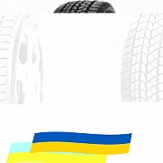 265/50 R19 Doublestar WINTERKING DW02 110T Легкова шина Київ
