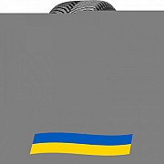 255/40 R19 Michelin CrossClimate 2 100Y Легкова шина Киев