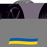 245/45 R19 Viking FourTech Plus 102W Легкова шина Київ