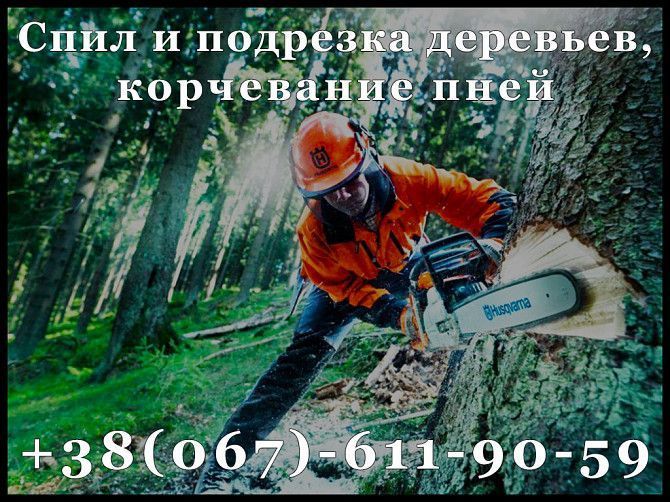 Спил и подрезка деревьев, корчевание пней Одесса - изображение 1