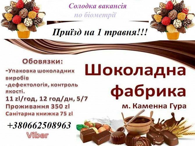 Шоколадна фабрика Львов - изображение 1