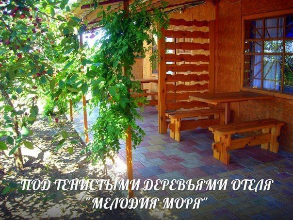 Отдых у моря Одесса - изображение 1