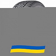 295/30 R19 Dunlop SP Winter Sport 3D 100W Легковая шина Київ