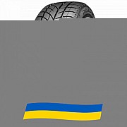 235/40 R18 Roadx RX Frost WU01 95V Легковая шина Київ