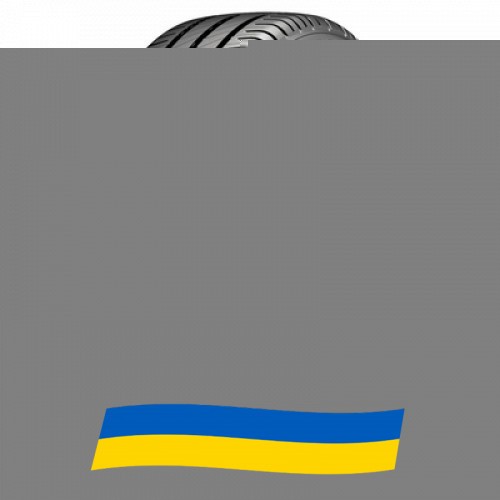 215/60 R17 Michelin Agilis 3 109/107T Легковантажна шина Київ - изображение 1
