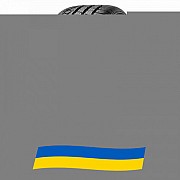 275/35 R19 Pirelli Winter Sottozero 2 100W Легкова шина Київ