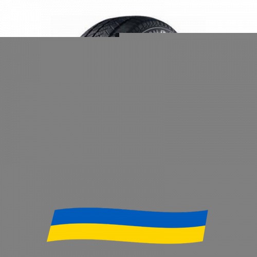 245/45 R19 Sunny Winter-maX A1 NW211 102V Легкова шина Київ - изображение 1