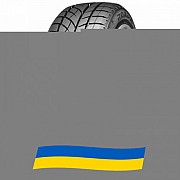 235/55 R18 Roadx RX Frost WU01 104H Легковая шина Київ
