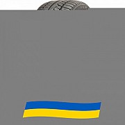 265/50 R20 Nitto NT421Q 111V Позашляхова шина Киев