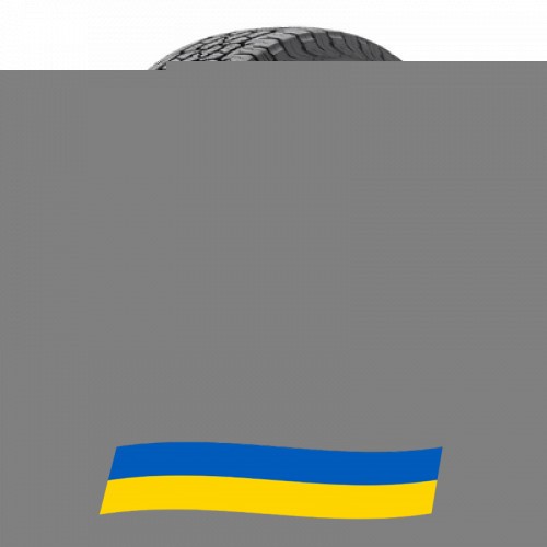 255/55 R18 BFGoodrich Trail-Terrain T/A 109H Позашляхова шина Київ - изображение 1