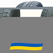 215/45 R17 Firemax FM808 91V Легкова шина Киев