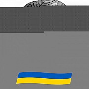 245/40 R19 Uniroyal WinterExpert 98V Легкова шина Киев