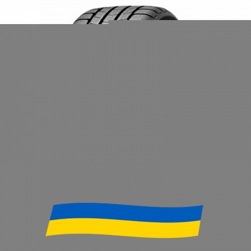 245/45 R17 Michelin Pilot Alpin PA2 99V Легковая шина Киев - изображение 1