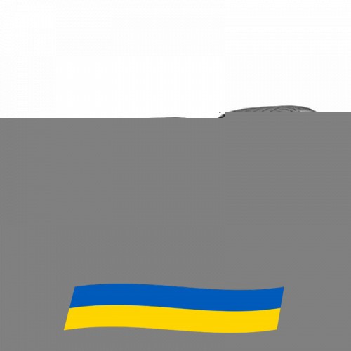 215/65 R17 Continental EcoContact 6 103V Легкова шина Київ - изображение 1