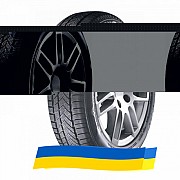 225/50 R18 Sunny Winter-maX A1 NW211 99V Легкова шина Київ