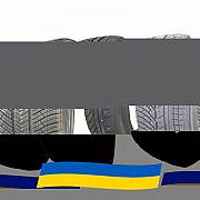 295/30 R20 Michelin Pilot Alpin PA4 97V Легкова шина Київ