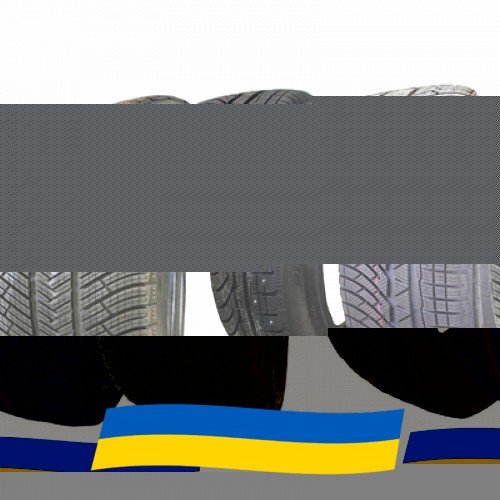 295/30 R20 Michelin Pilot Alpin PA4 97V Легкова шина Київ - изображение 1