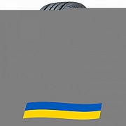 235/65 R17 Habilead RS21 PracticalMax H/T 108H Позашляхова шина Киев