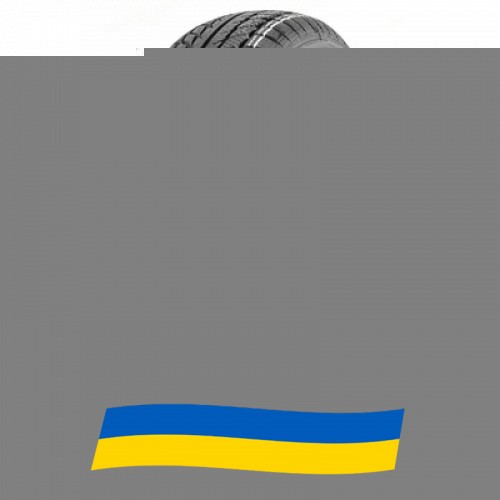 225/55 R17 WestLake SW608 Snowmaster 101V Легкова шина Киев - изображение 1