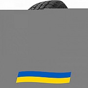 225/60 R17 Doublestar WILDWOLF W01 99Q Позашляхова шина Киев