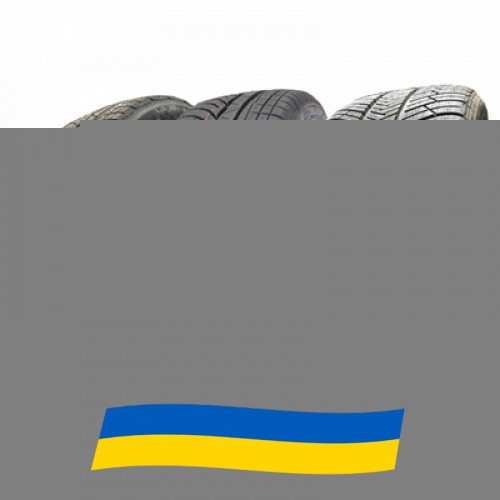 255/45 R19 Michelin Pilot Alpin PA4 100V Легкова шина Киев - изображение 1