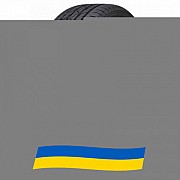 245/75 R17 Nexen Roadian HTX RH5 121/118S Внедорожная шина Київ