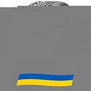 245/35 R18 Toyo Proxes T1R 88Y Легкова шина Київ