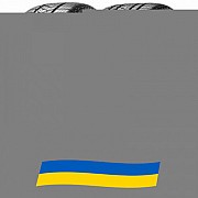 275/35 R22 Pirelli Scorpion Winter 104V Позашляхова шина Киев
