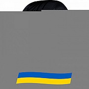 215/45 R17 Toyo Proxes TR1 91W Легкова шина Киев