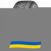 255/50 R19 Vredestein Wintrac Xtreme S 107V Легкова шина Київ