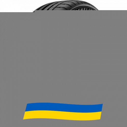 245/45 R20 Michelin Pilot Sport 4 99Y Легкова шина Київ - изображение 1