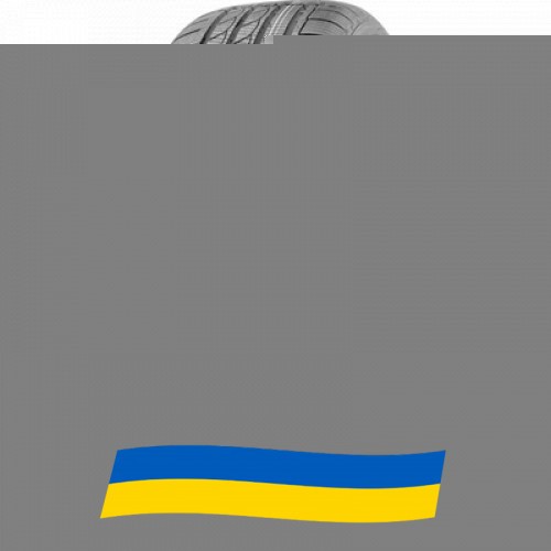 225/55 R17 Minerva Ice-Plus S210 101V Легкова шина Київ - изображение 1