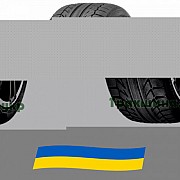 225/55 R17 BFGoodrich G-Force Sport 97W Легковая шина Киев