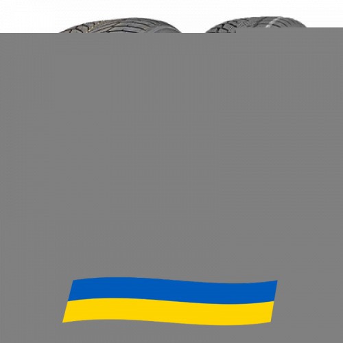 215/55 R17 Nexen WinGuard Sport 2 WU7 98V Легкова шина Киев - изображение 1