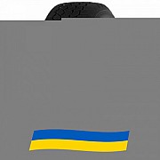 275/55 R20 Haida Winter HD617 117T Легкова шина Киев