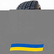 215/55 R18 Habilead IceMax RW501 95H Позашляхова шина Киев