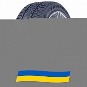 215/50 R17 Triangle WinterX TW401 95V Легкова шина Київ