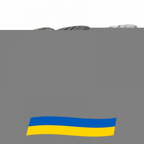 255/35 R19 Michelin Pilot Alpin PA4 96V Легкова шина Київ - изображение 1