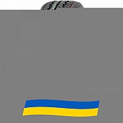 275/55 R20 Powertrac Snowtour 117H Легкова шина Киев